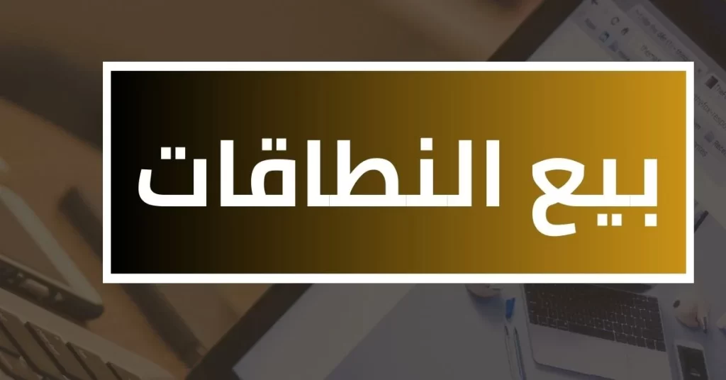 طرق الربح من الانترنت - القيام ببيع النطاقات